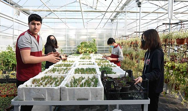 Yalova'da öğrencilerin ürettiği çiçekler e-ticaret sitesinden satılacak
