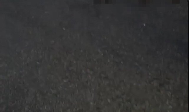 Yalova'da otomobil sürüye daldı: 18 koyun telef oldu