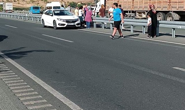 Yolun karşısına geçerken aracın çarptığı adam hayatını kaybetti