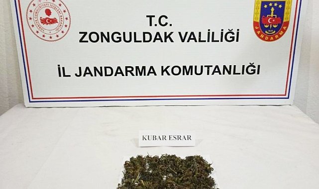 Zonguldak Jandarma'dan uyuşturucu operasyonu