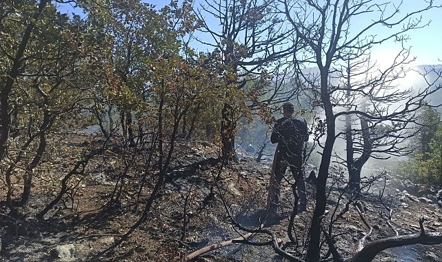 Adıyaman'daki orman yangını tamamen söndürüldü