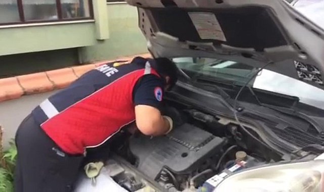 Aracın motor kısmına giren kedi inatçı çıkınca işe taksiyle gitmek zorunda kaldı