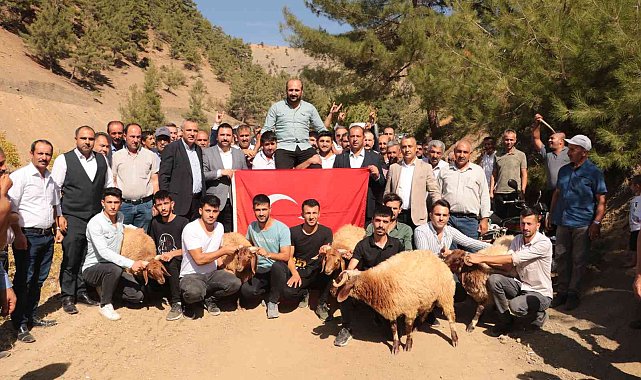Şampiyon pehlivanlar omuzlarla taşındı, koçlar kesildi