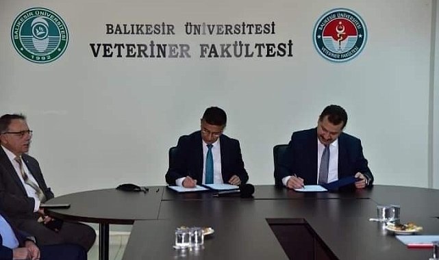 BAÜN'de "Damızlık Koç Üretim Merkezi" kuruluyor