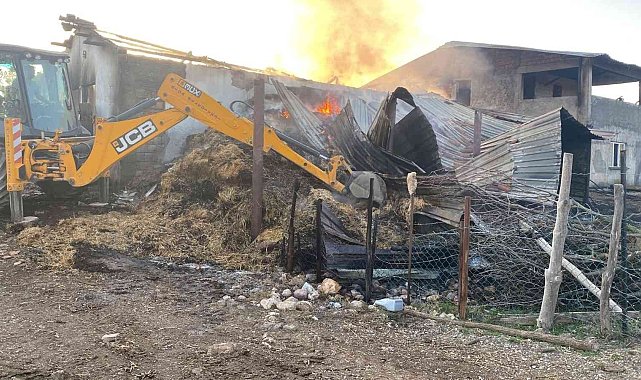 Çanakkale'de samanlık yangını: 6 inek telef oldu