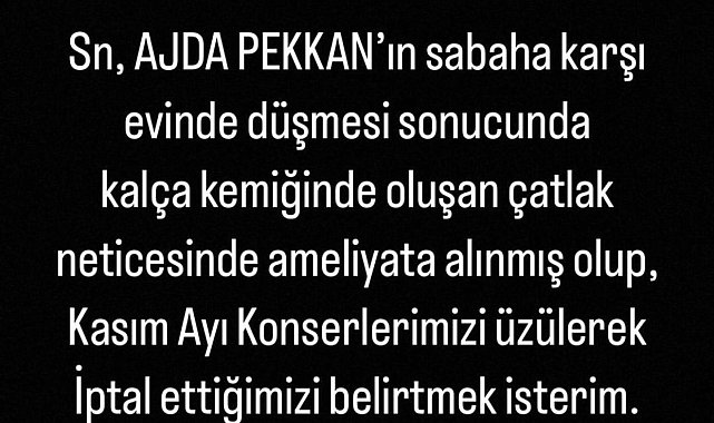 Evinde düşerek kalça kemiğini çatlatan Ajda Pekkan ameliyata alındı