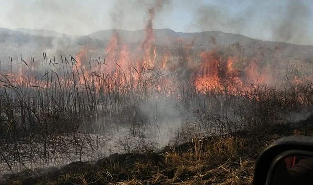 Gönen Bakırlı kırsal mahallesinde yangın çıktı