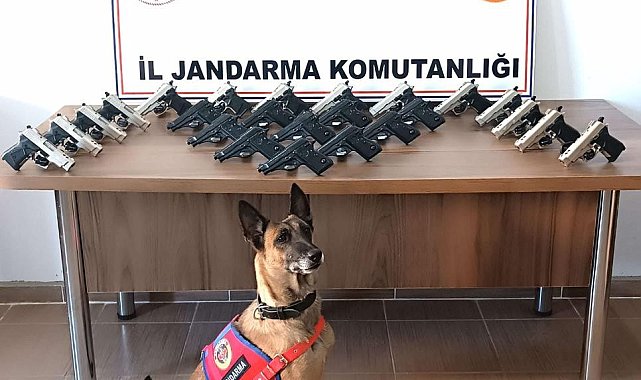 Mardin'de araçtan 25 adet ruhsatsız silah çıktı