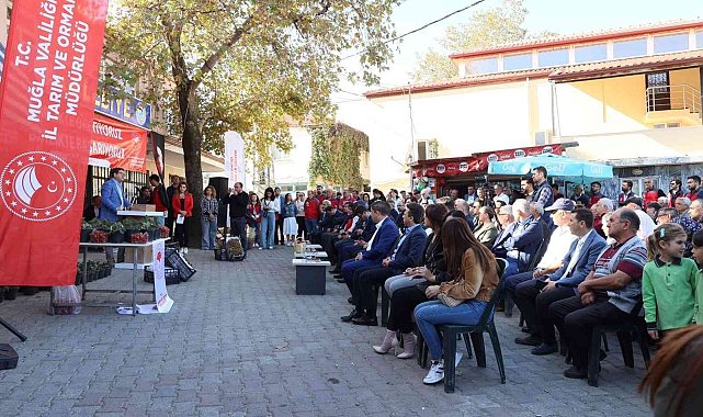 Muğla'da 'Çilek Projesi' büyümeye devam ediyor