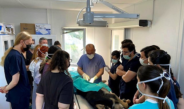 Osmangazi'de her canlı değerli