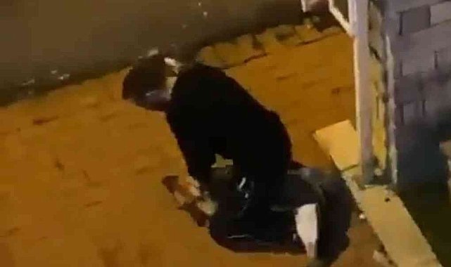Sarıyer'de köpeği boğmaya çalışan şüpheli tutuklandı