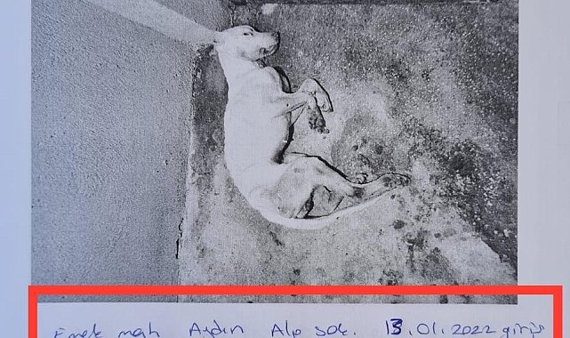 Skandal görüntülere ilginç savunma