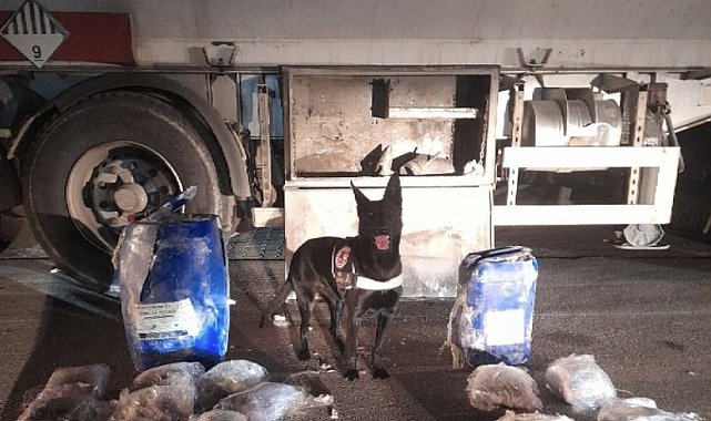 Tanker içinde zulalanmış 11 kilo esrar yakalandı