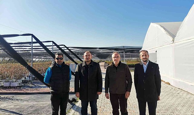 Yüzyılın sağlık meyvesi maviyemiş Sermayecik Köyünde üretilecek