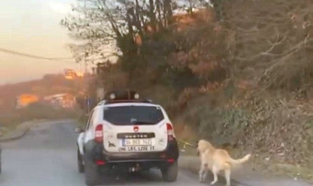 Boğazına ip bağladığı köpeği metrelerce sürükledi
