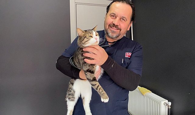 Çip uygulaması birçok fayda sağlayacak