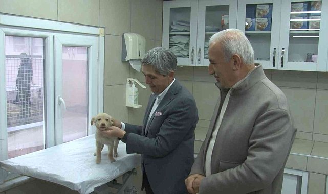 Ümraniyeli gençlerden hayvan bakımevine ziyaret