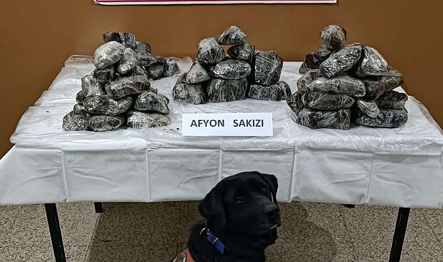 Van'da 33 kilo Afyon Sakızı ele geçirildi