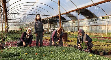 2022 yılında 1 Milyon 250 bin çiçek üretildi