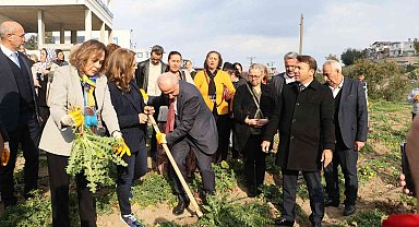 3 ayda hasat vakti geldi, kilosu 60 liradan satılıyor