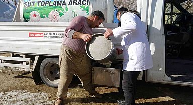 'Soğuk Süt Zinciri' Projesiyle besiciler emeklerinin karşılığını almaya başladı