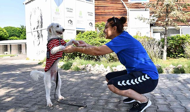 503 canın daha sıcak bir yuvası oldu