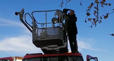 Ağaca takılan kargayı itfaiye kurtardı