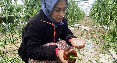 Aksu'da fırtına ve dolu sebebiyle 95 dekar sera alanı zarar gördü