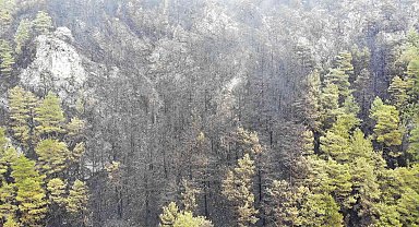 Alanya'da yanan ormanlık alan havadan görüntülendi
