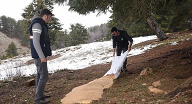 Amanos Dağları'nın eteklerine yaban hayvanları için yem bırakıldı