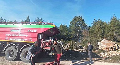 Antalya'da çıkan orman yangını büyümeden söndürüldü