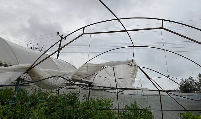 Antalya'da hortum domates ve çilek seralarını parçaladı