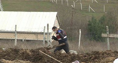 Arnavutköy'de yem makinesine düşen çoban yaralanarak hastaneye kaldırıldı