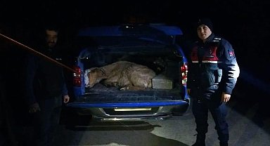 Ayağı kırılan keçiyi jandarma ve AFAD kurtardı