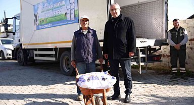 Aydın Büyükşehir Belediyesi'nden küçük aile işletmelerine yem desteği sürüyor