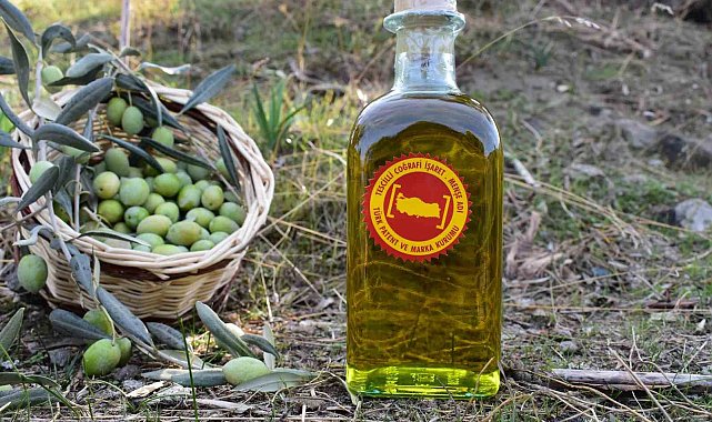 Aydın Ticaret Borsası, Coğrafi İşaret Tescilli Aydın Memecik Zeytinyağını Gaziantep'te tanıtacak