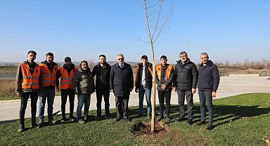 Bafra'da kökler toprakla buluşuyor