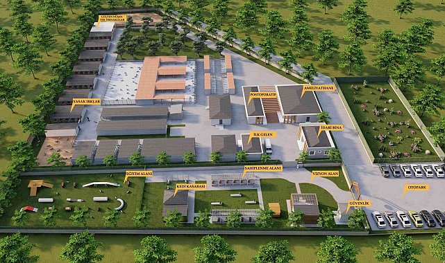 Bafra'ya 11 bin metrekarelik sokak hayvanları bakım merkezi