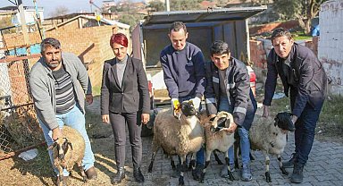 Başkan Çerçioğlu koyunları telef olan üreticiye destek oldu