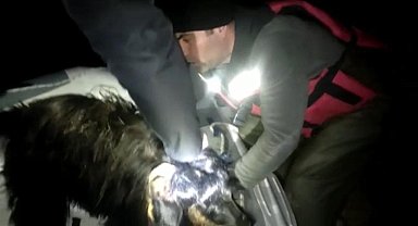 Batman'da nehre düşen keçilerin imdadına dalgıç ekipleri yetişti