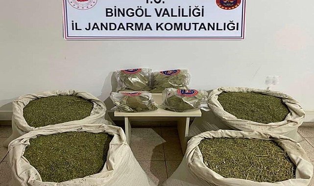 Bingöl'de Kökünü Kurutma Operasyonu: 145 kilo esrar ele geçirildi
