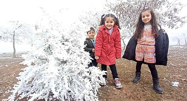 Bitlis'te kırağı tutan ağaçlar kartpostallık görüntü oluşturdu
