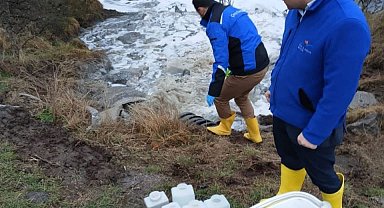 Bolu'da Ulusu Deresi'ni kirlettiği tespit edilen 3 tesise ceza kesildi