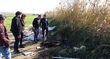 Boş araziye atılmış büyükbaş hayvan deri ve sakatatları jandarmayı harekete geçirdi