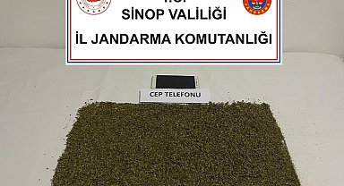 Boyabat'ta bonzai operasyonunda 1 kişi yakalandı