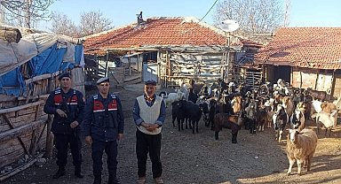Burdur'da kaybolan 70 küçükbaş hayvan, jandarma ekipleri tarafından bulundu