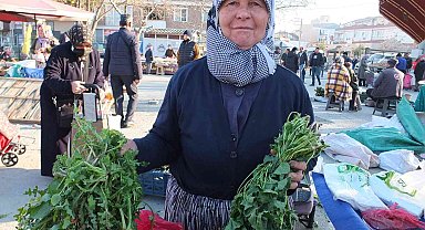 Burhaniye'de araziden toplanan otlar geçim kaynağı oldu