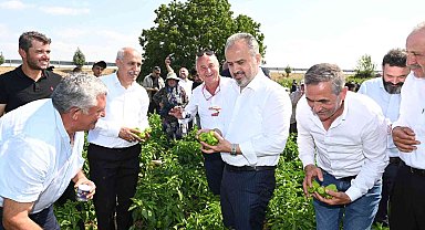 Bursa Büyükşehir'in çiftçiye desteği sürüyor