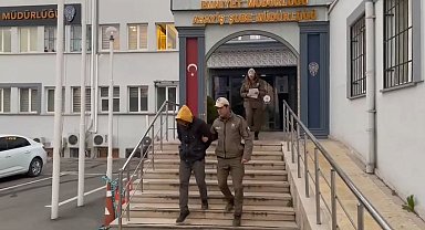 Bursa'da köpeğe eziyet eden o sürücü yakalandı
