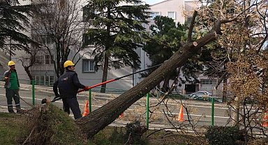 Bursa'da şiddetli lodosun etkisi sürüyor